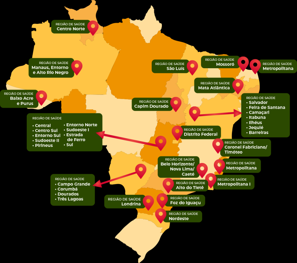 Mapa Regional de Saúde - Arte: MS