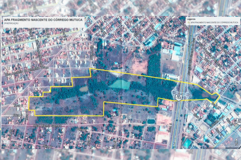 APA Fragmento Córrego Mutuca/Água Franca. APA Fragmento Córrego Mutuca/Água Franca. [Foto: Prefeitura de Gurupi]