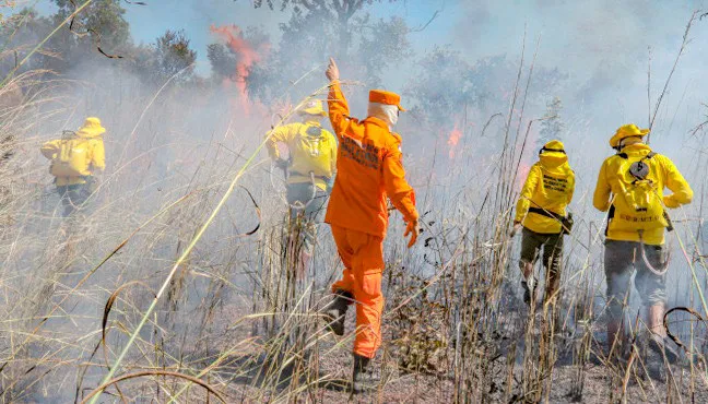 Um dos principais focos de incêndio, situado próximo ao distrito, já se encontra controlado – Foto: Governo do Tocantins