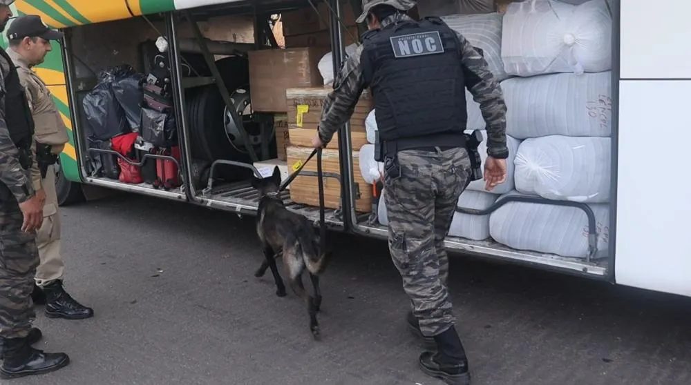 A operação contou com apoio do NOC da Polícia Penal que auxiliou a com cão de faro de narcóticos – Foto: Alessandro Ferreira / Agência Tocantins