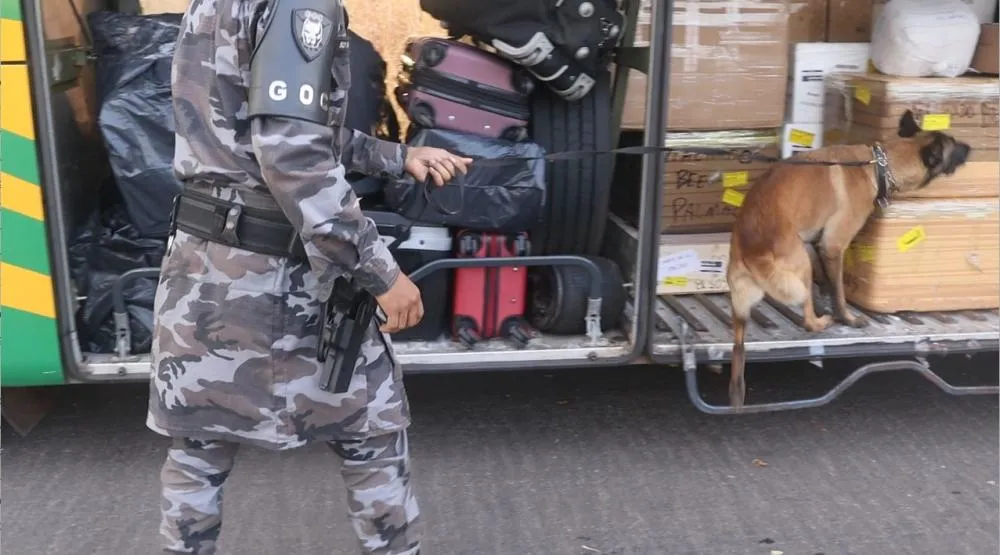 A ação policial contou com apoio do Grupo de Operações com Cães – GOC do BPCHOQUE – Foto: Alessandro Ferreira / Agência Tocantins