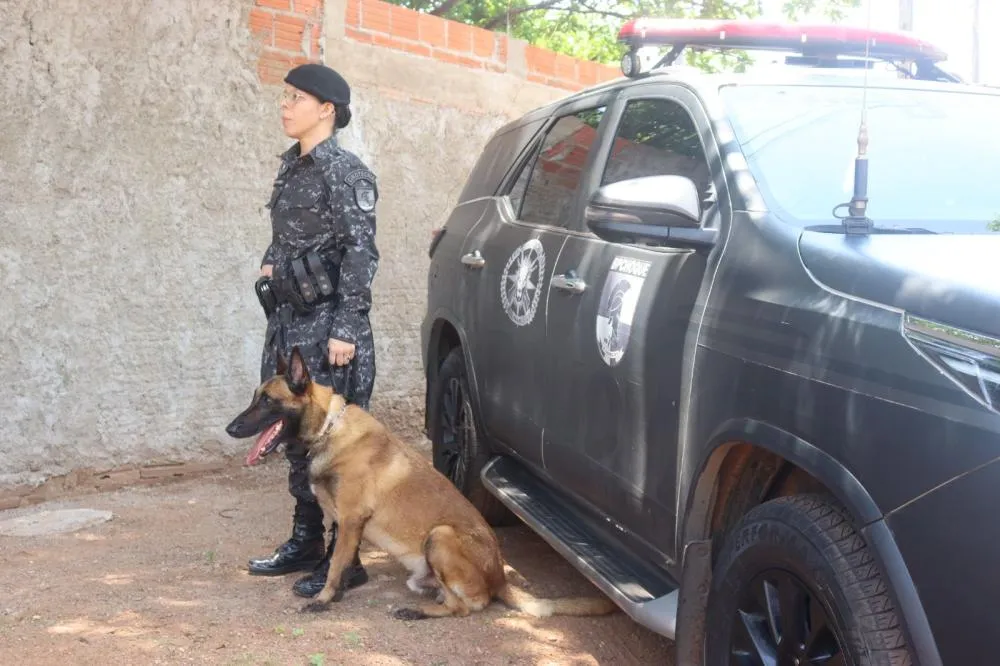 A ocorrência contou com apoio do Grupo de Operações com Cães – GOC do BPCHOQUE – Foto: Alessandro Ferreira / Agência Tocantins