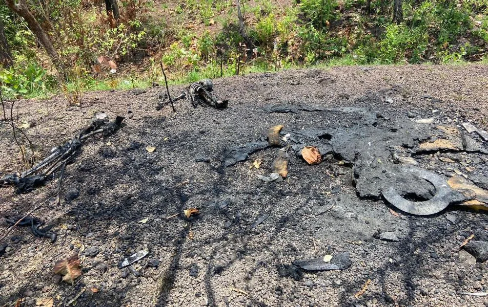 Ossada Humana é Encontrada Carbonizada Em área De Mata Na Região Sul De ...